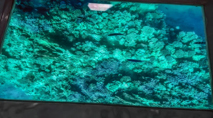 Sharm El Sheikh F&S 4